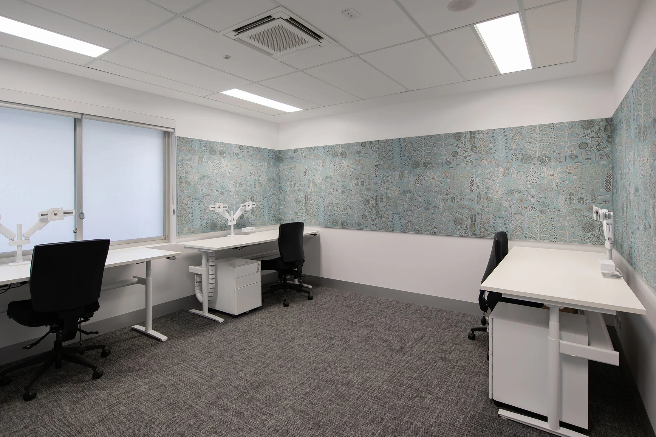 CSU Labs-IMG_0001.jpg