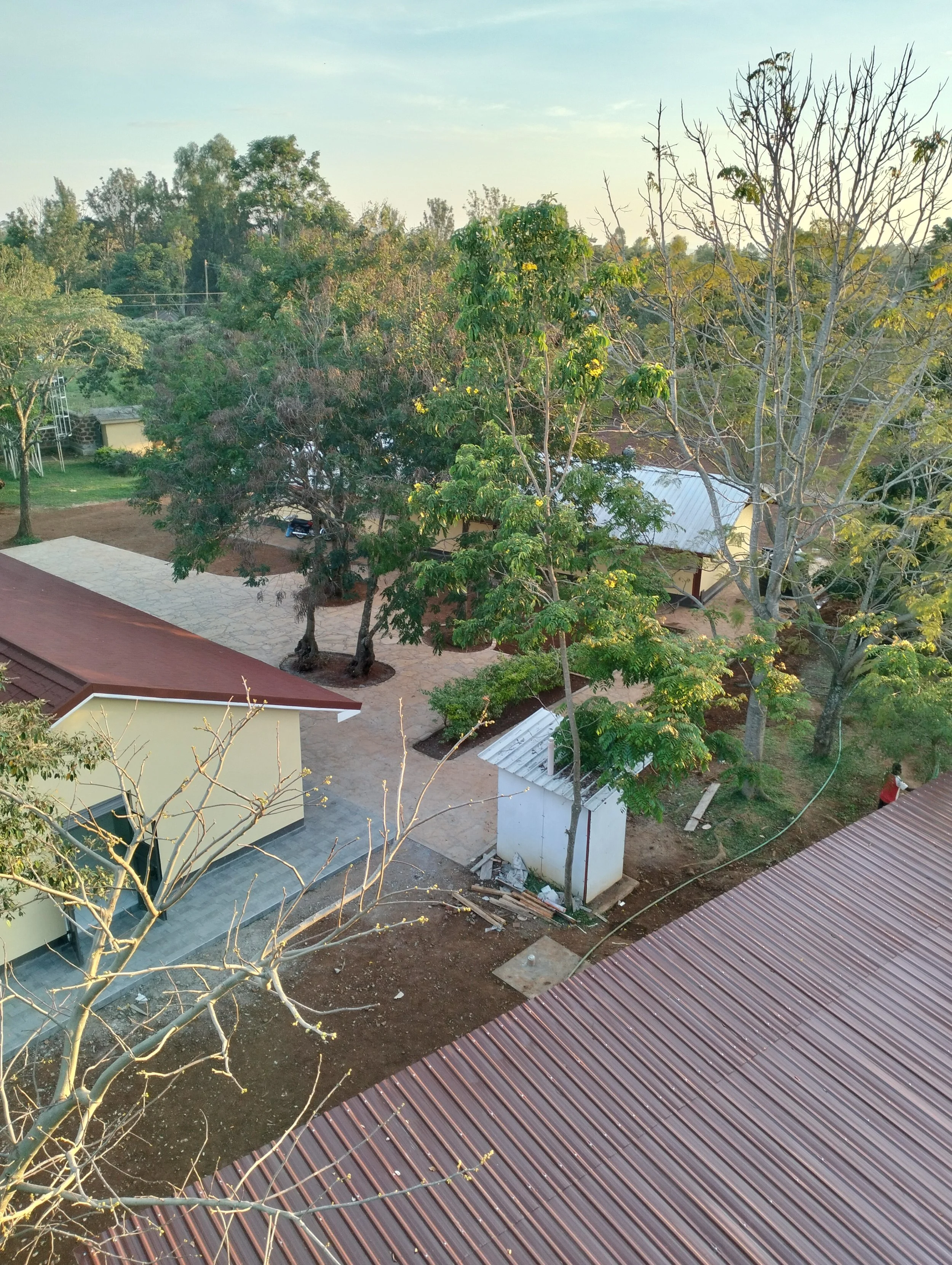 IMG20251011181352.jpg