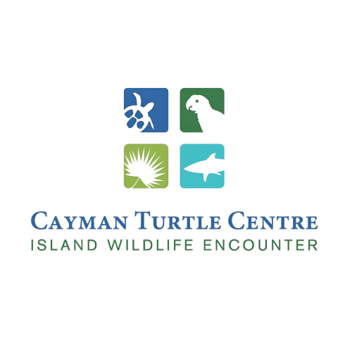 CAYMAN-TURTLE-CENTRE-LOGO.png