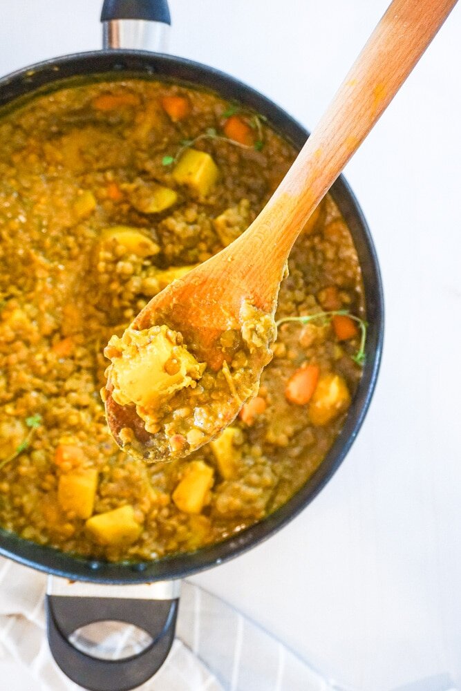 Vegetable Curry Stew 
