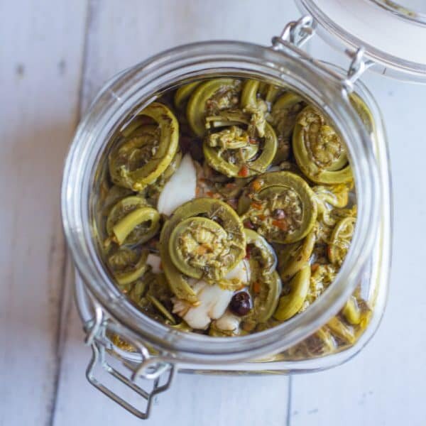 Spicy Pickled Fiddlehead Ferns