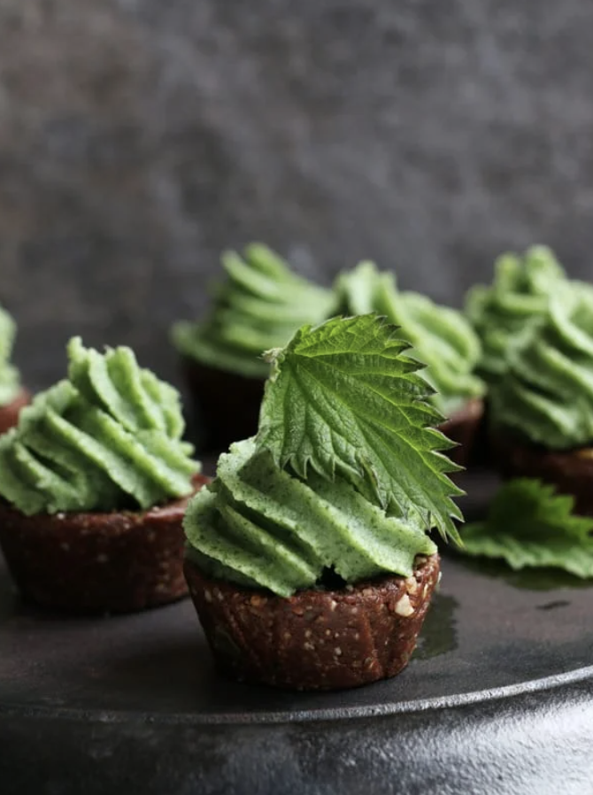 Raw Chocolate Cupcakes with Nettle Frosting