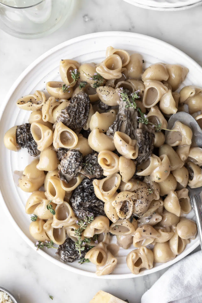 Morel Pasta with Cream and Parmesan