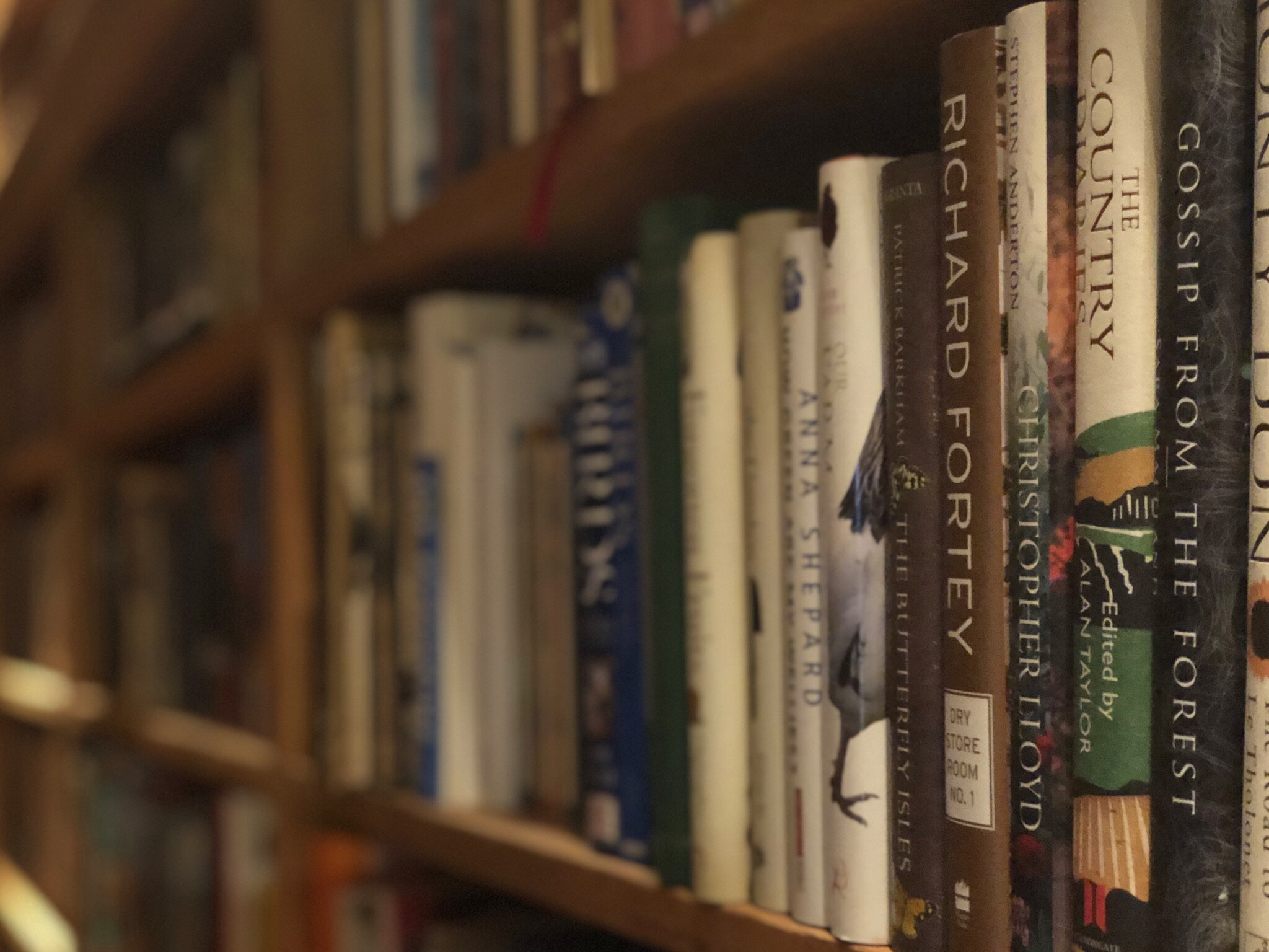 A LIFE IN A LIBRARY 1