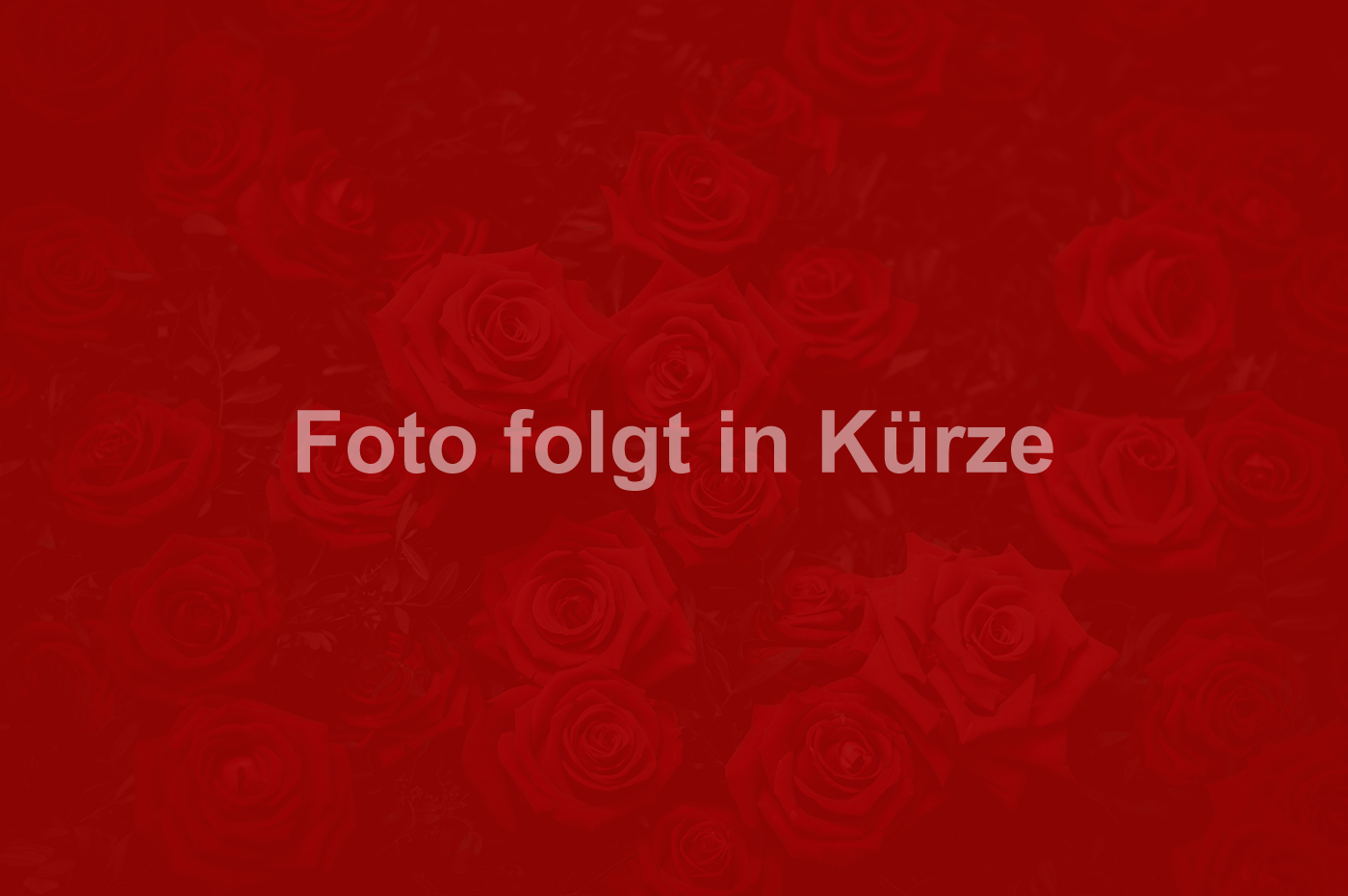 Foto-folgt-in-Kürze.png