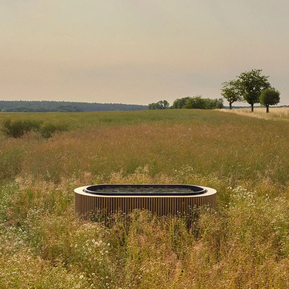 Reerdigungs Kokon Feld Natur Blüte Meine Erde
