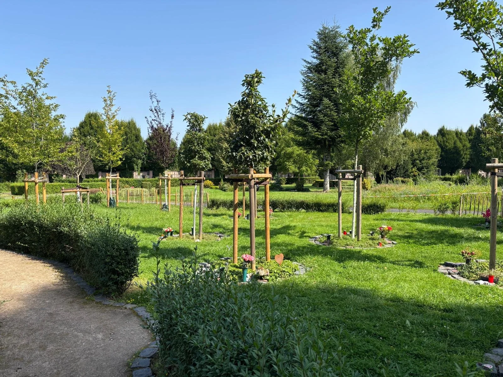 Ein gepflegter Friedhof im Grünen mit frisch gepflanzten Bäumen, kleinen Gräbern mit Blumen und Kerzen, umgeben von Sträuchern und Büschen bei sonnigem Himmel.