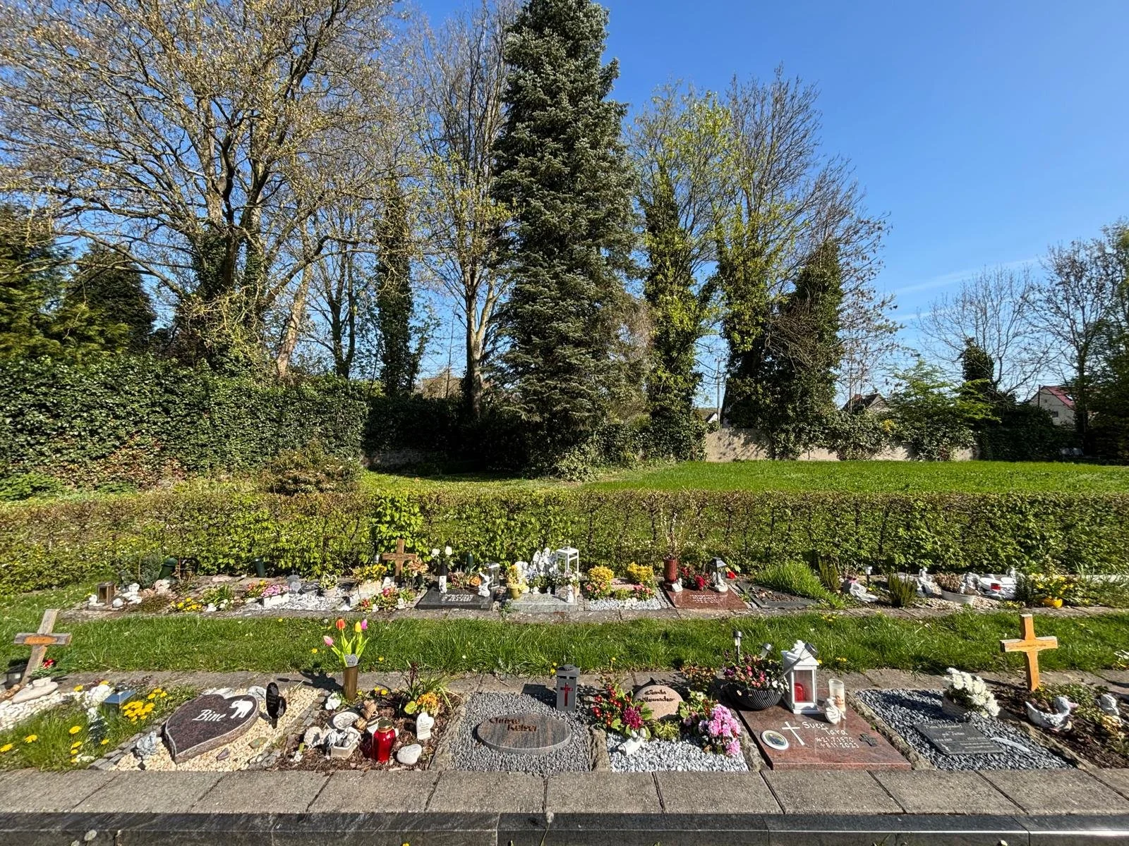 Ein Friedhof mit Grabsteinen und Blumen, im Hintergrund Bäume und ein blauer Himmel.
