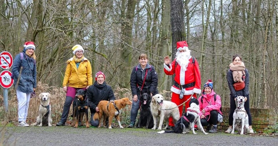 🎅🌟 Balades de No&euml;l et bonne ann&eacute;e 2024 🌟🎅 

Bonjour &agrave; tous et toutes ! Nous vous souhaitons une belle et heureuse ann&eacute;e 2024 en compagnie de vos loulous 🐶🫶 

On profite de cette occasion pour revivre ensemble les derni