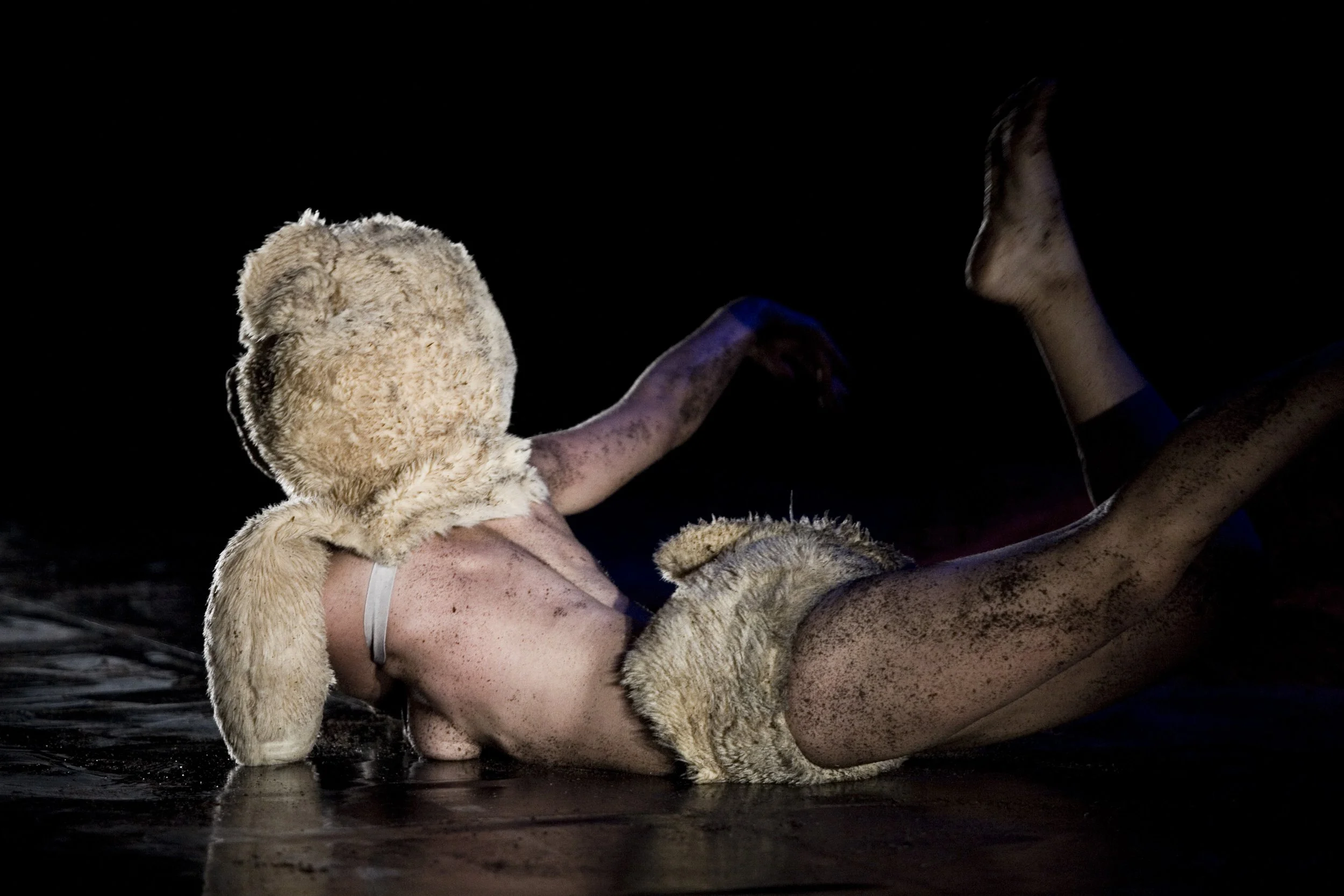 AnimalProyect_danza_giraldo_28.JPG