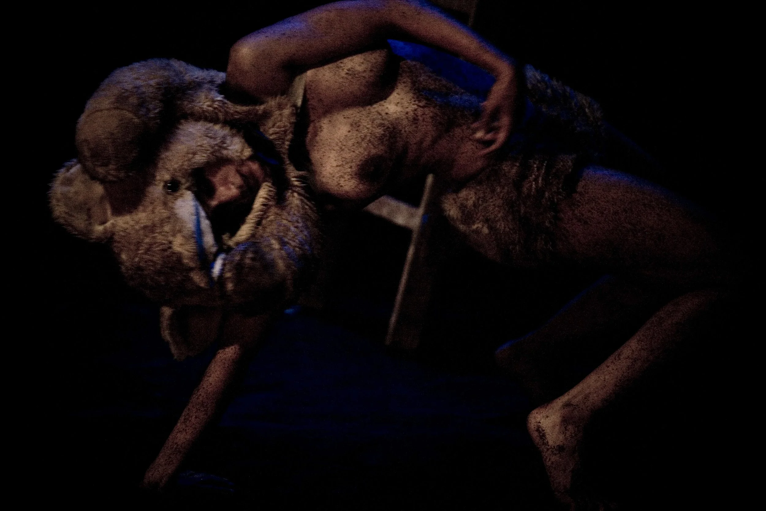 AnimalProyect_danza_giraldo_29.JPG