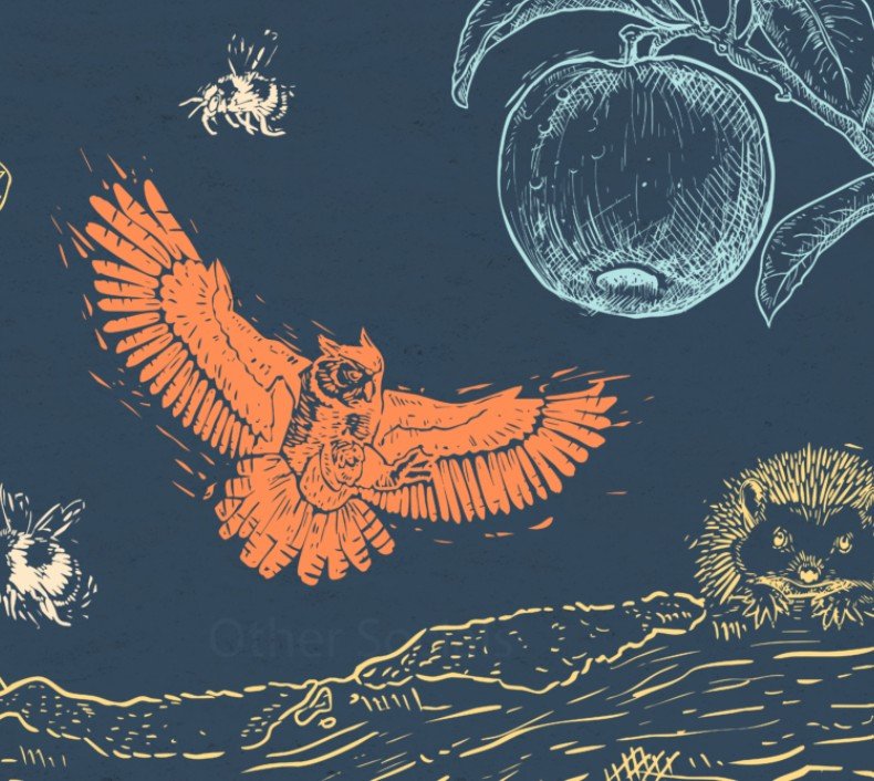 An owl and a hedgehog illustrated on a dark blue background