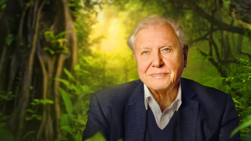 Exclusive Screening - David Attenborough: A Life On Our Planet