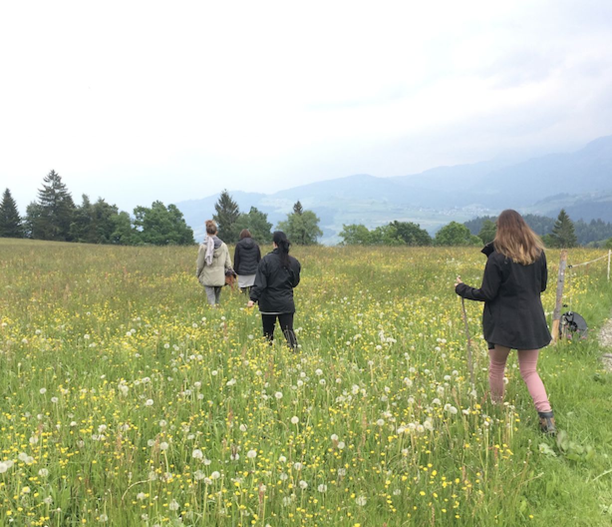 Screenshot 2026-03-08 at 08.20.35.png