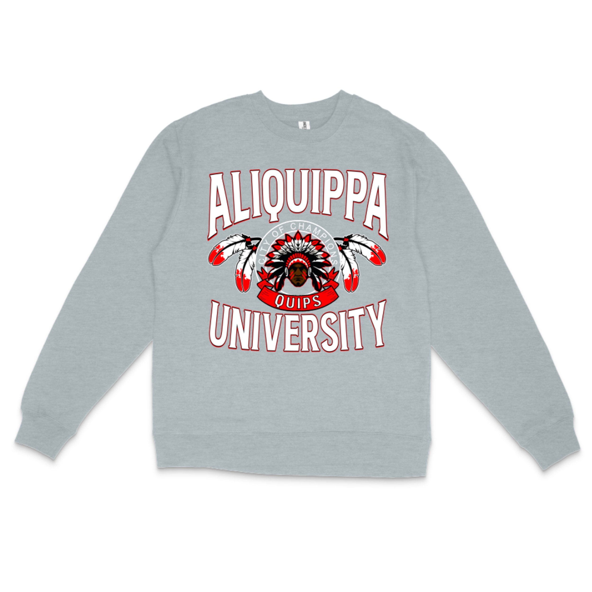 aliquippa UNIVERSITY sweatshirt (HEATHER).jpg