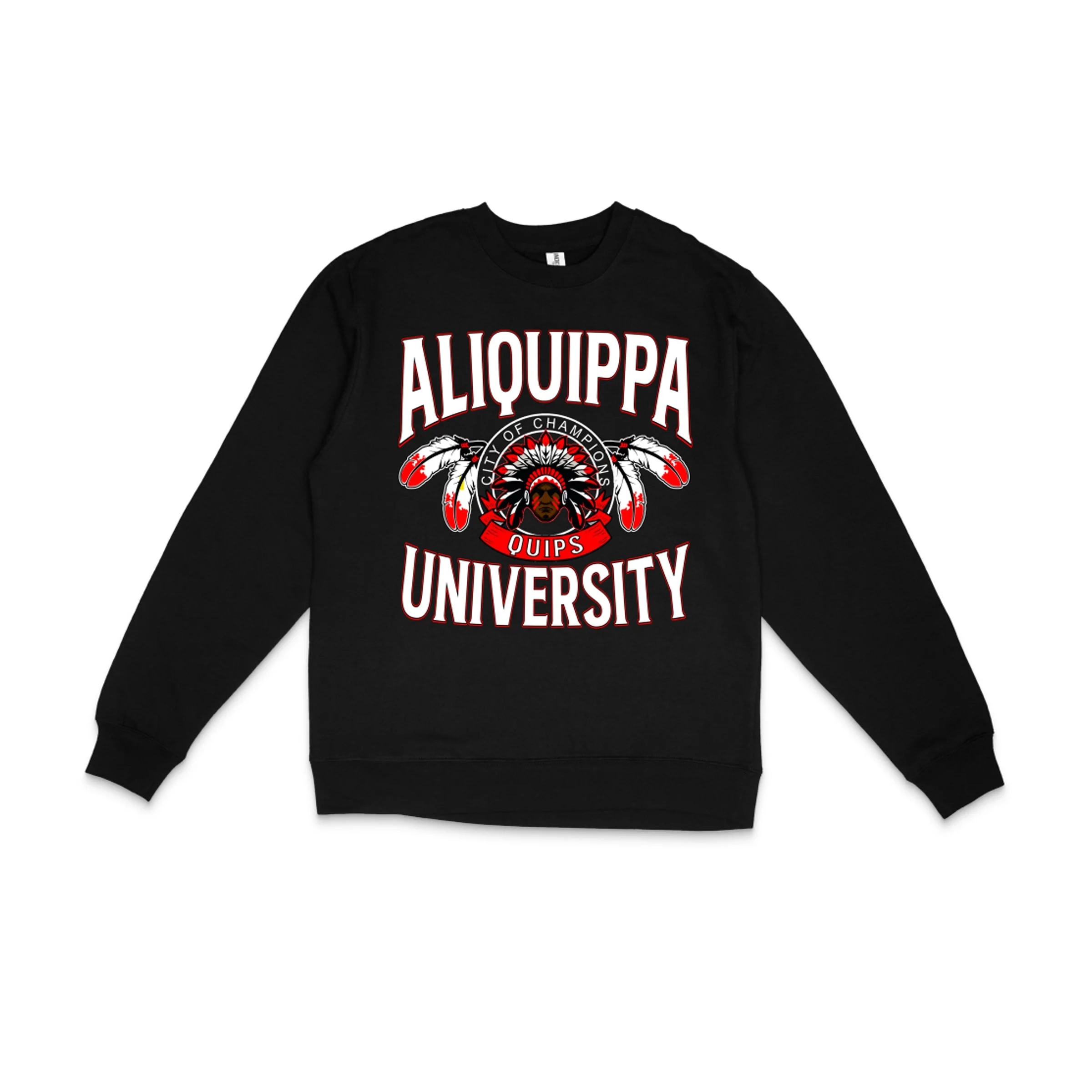 aliquippa UNIVERSITY sweatshirt (black).jpg