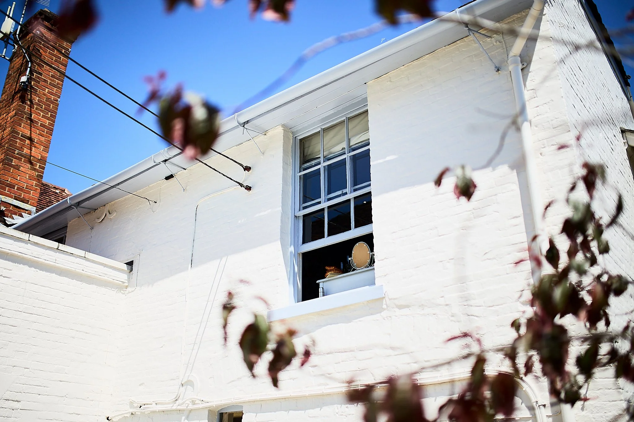 Larmer_Tree_Wedding_ 1.jpg