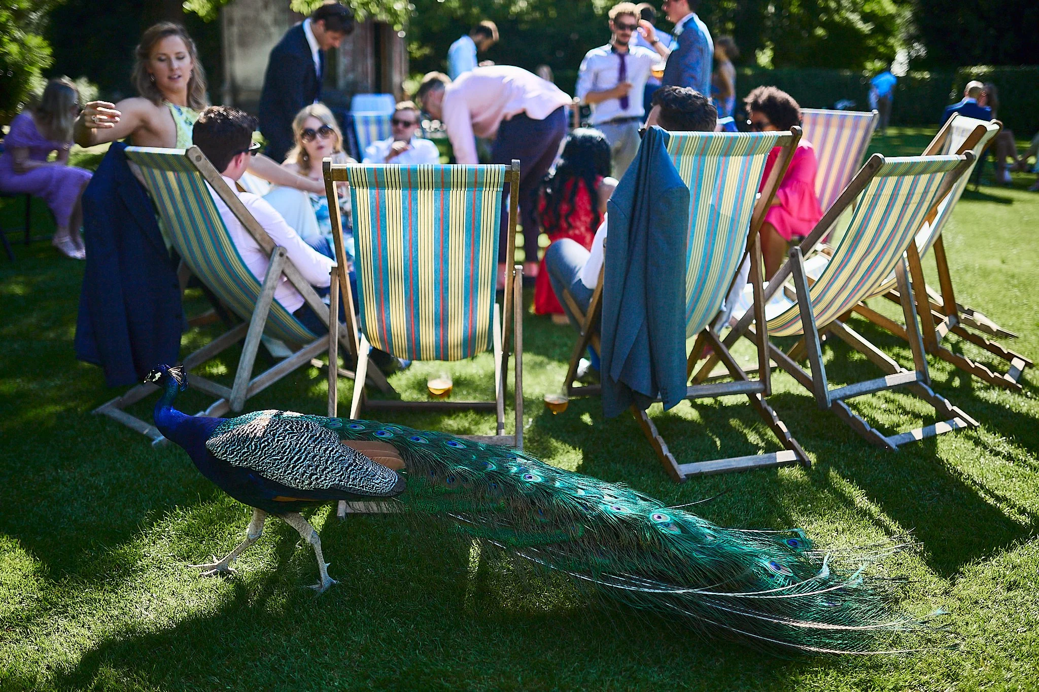 Larmer_Tree_Wedding_ 104.jpg