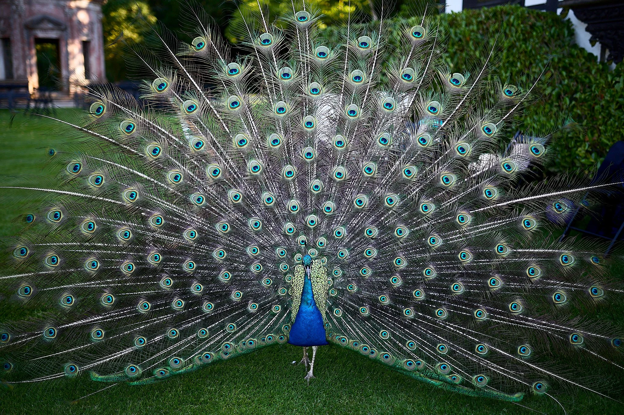 Larmer_Tree_Wedding_ 135.jpg