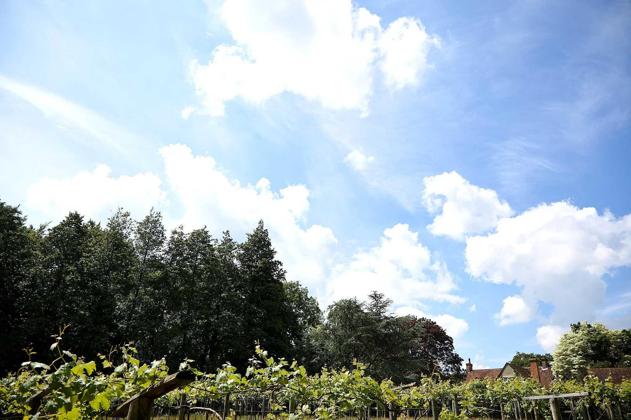 Old Luxters Barn-wedding 1.jpg