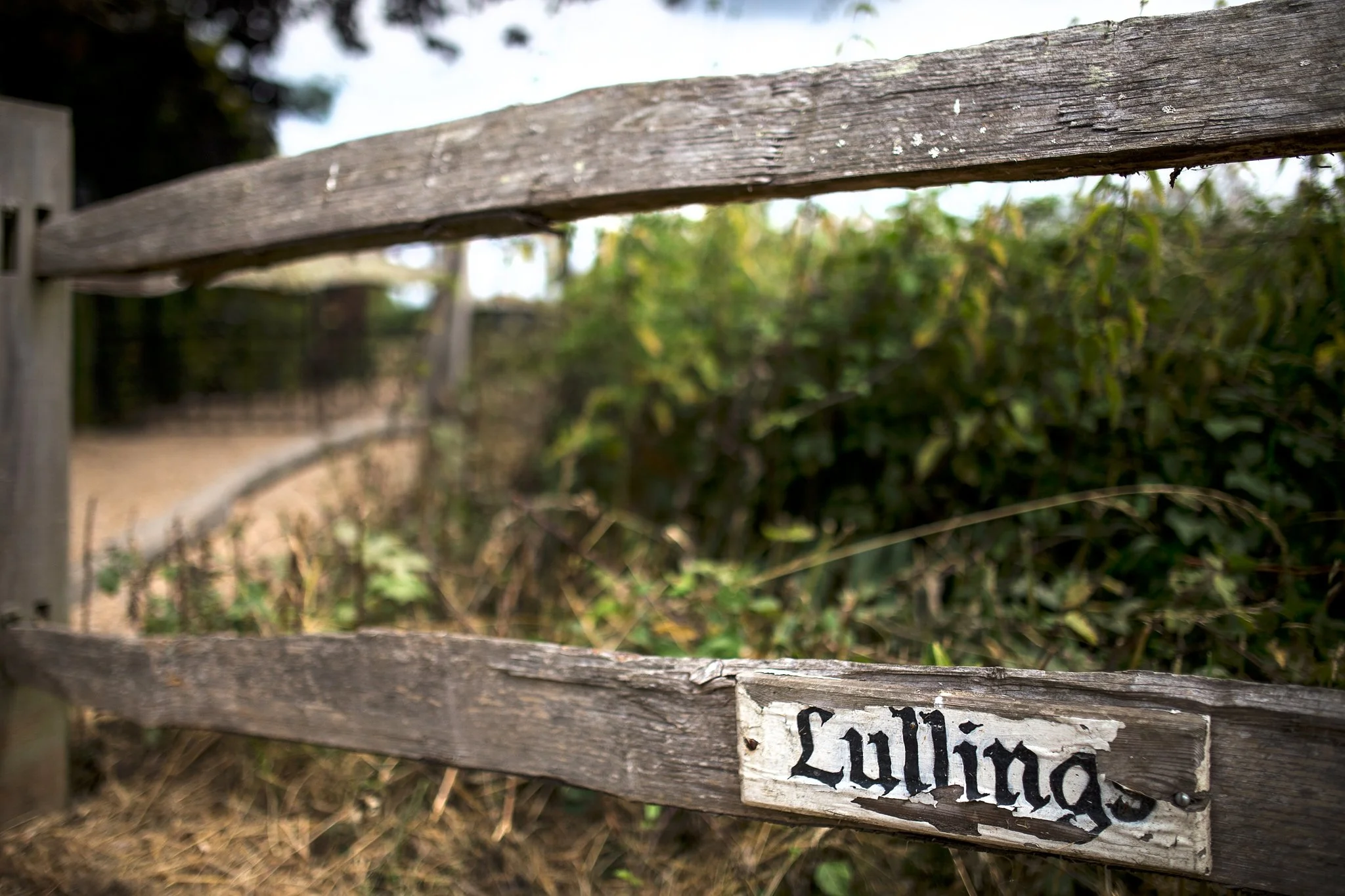 Marquee-Wedding-olliver-photography 1.jpg