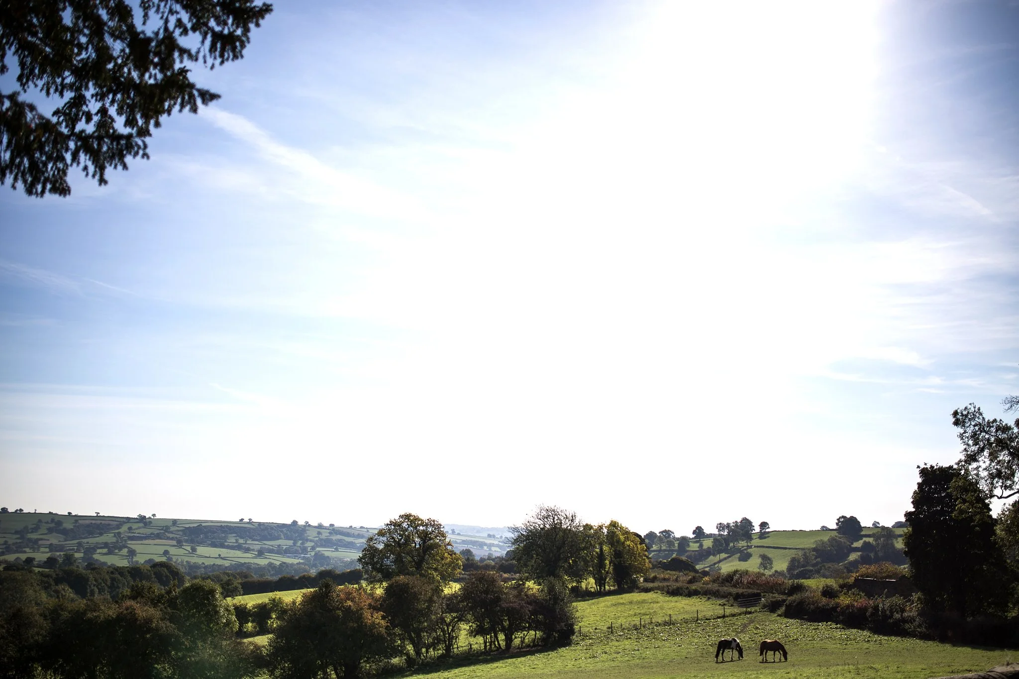 Tissington-wedding-photography 000.jpg