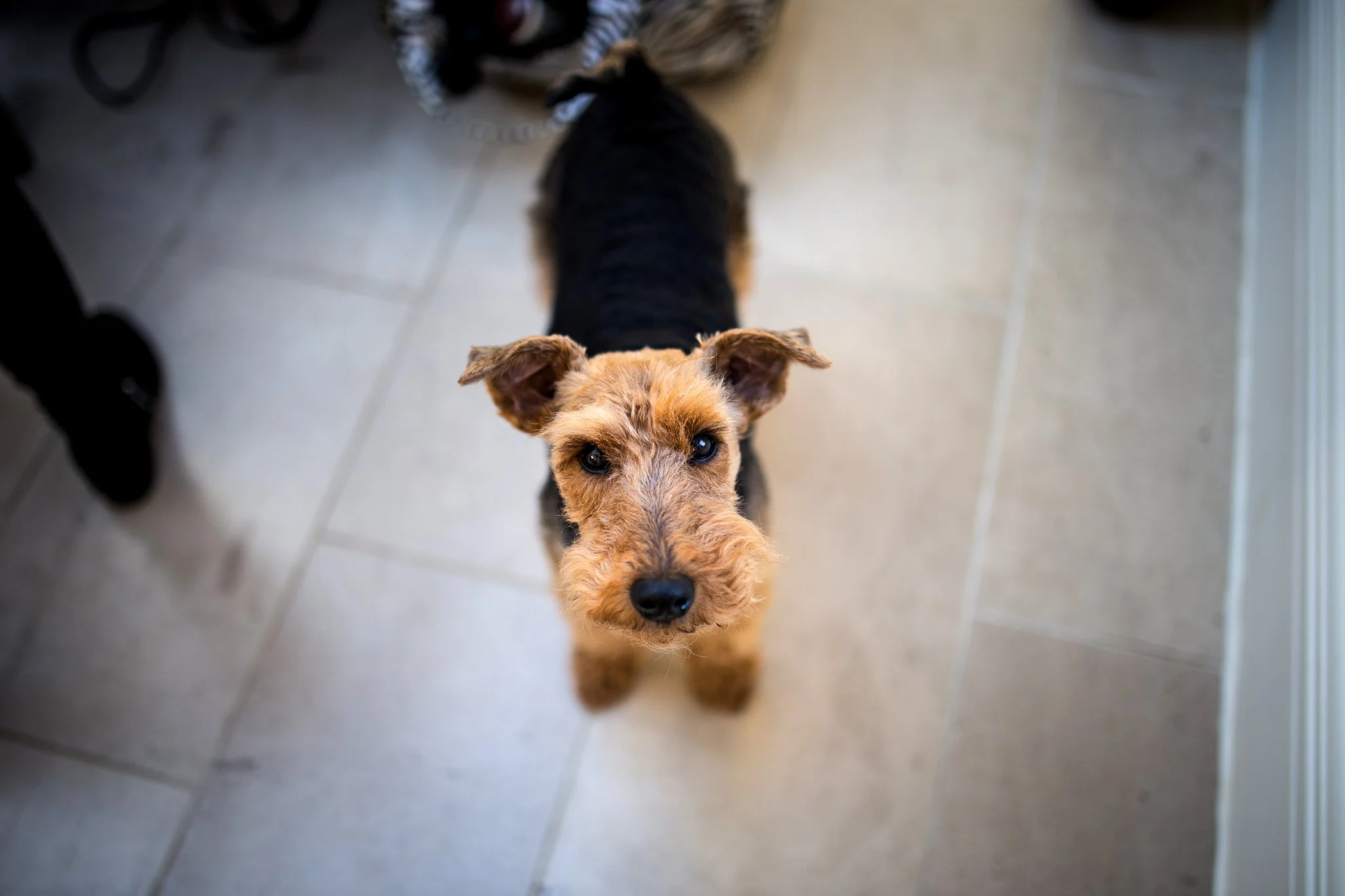 Tissington-wedding-photography 3.jpg