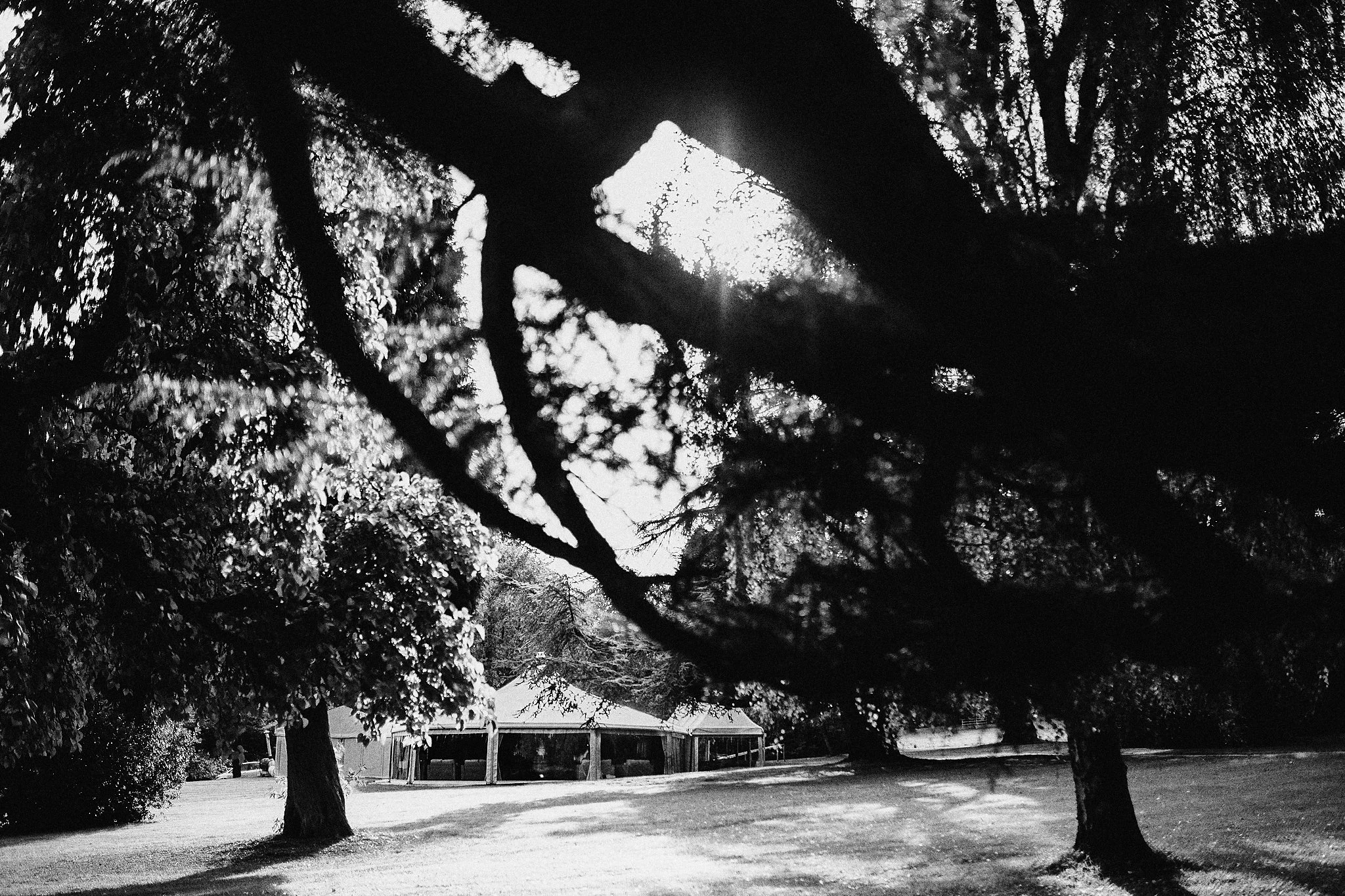 Tissington-wedding-photography 133.jpg