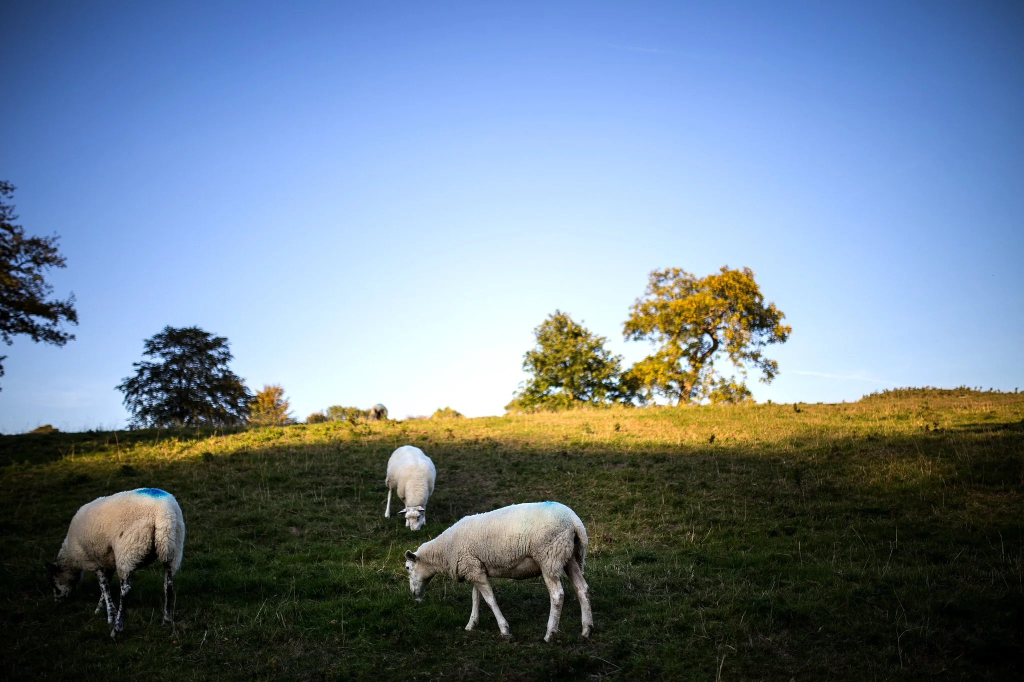 Tissington-wedding-photography 159.jpg