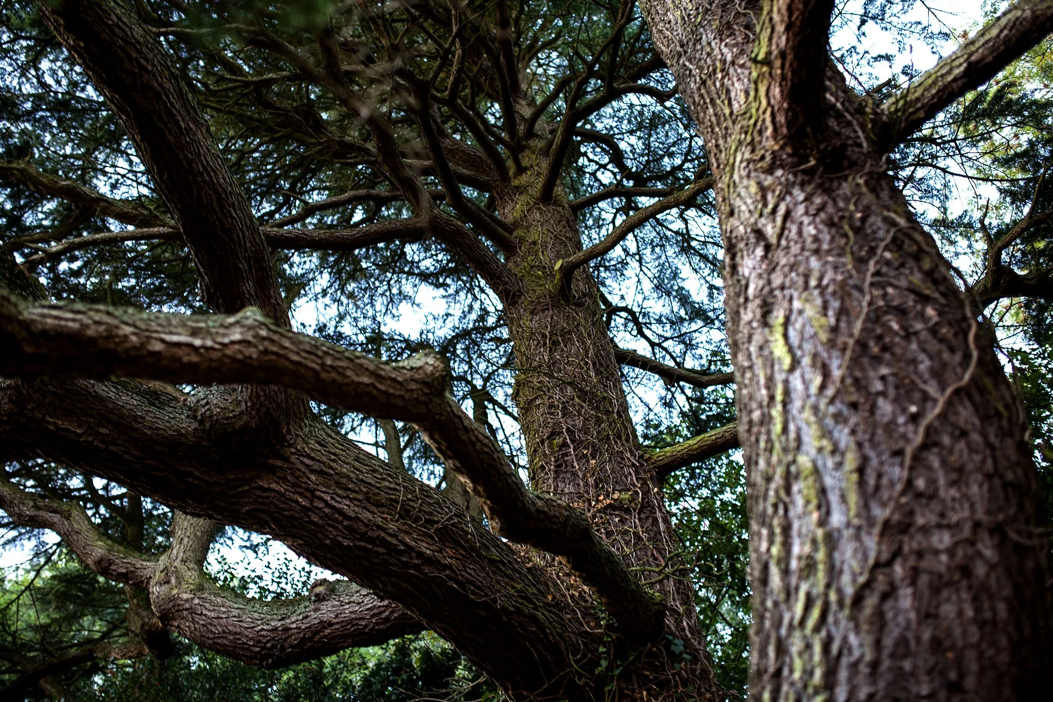 Tissington-wedding-photography 169.jpg