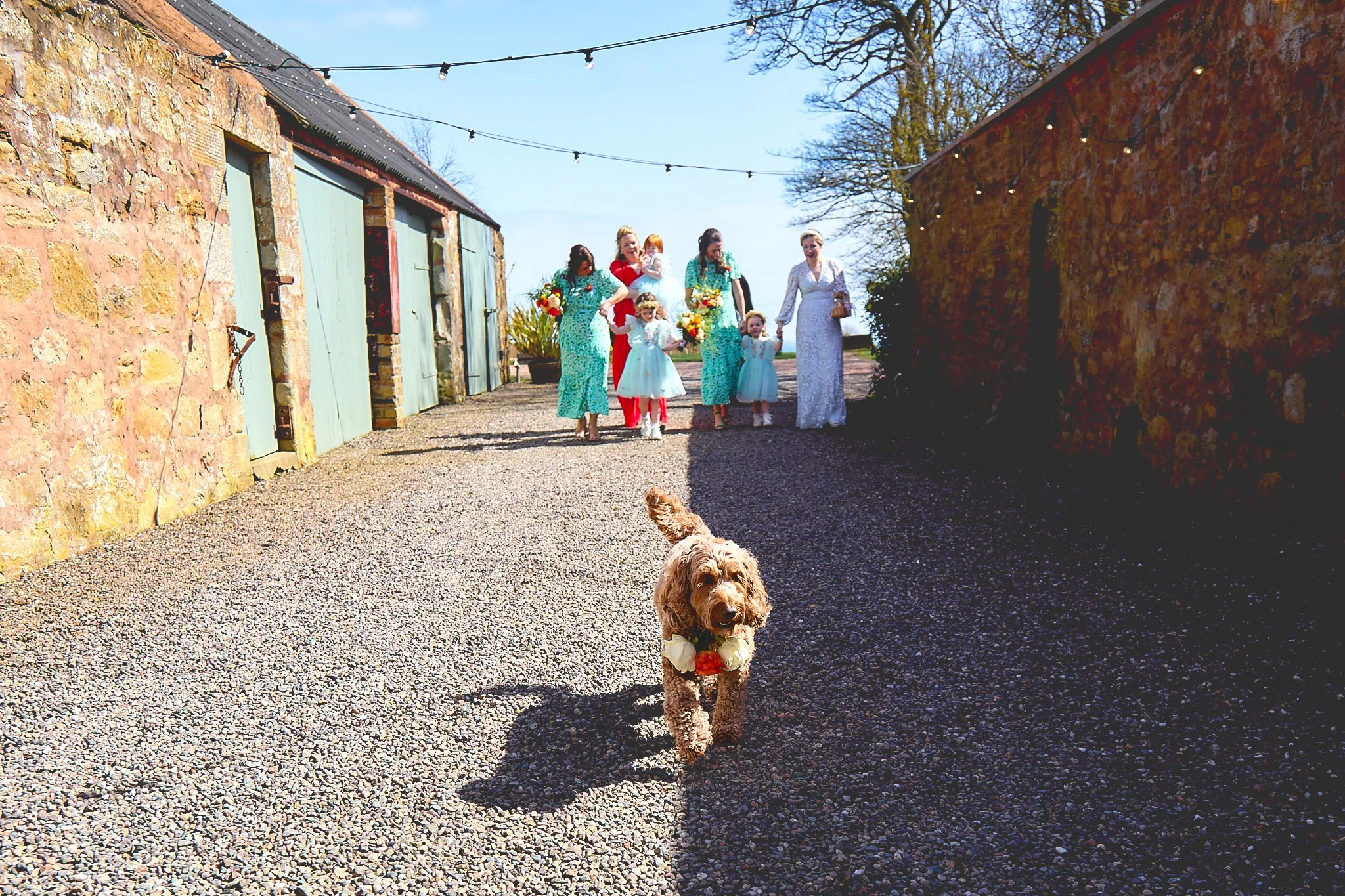 cow_shed_crail_wedding_photography 61.jpg