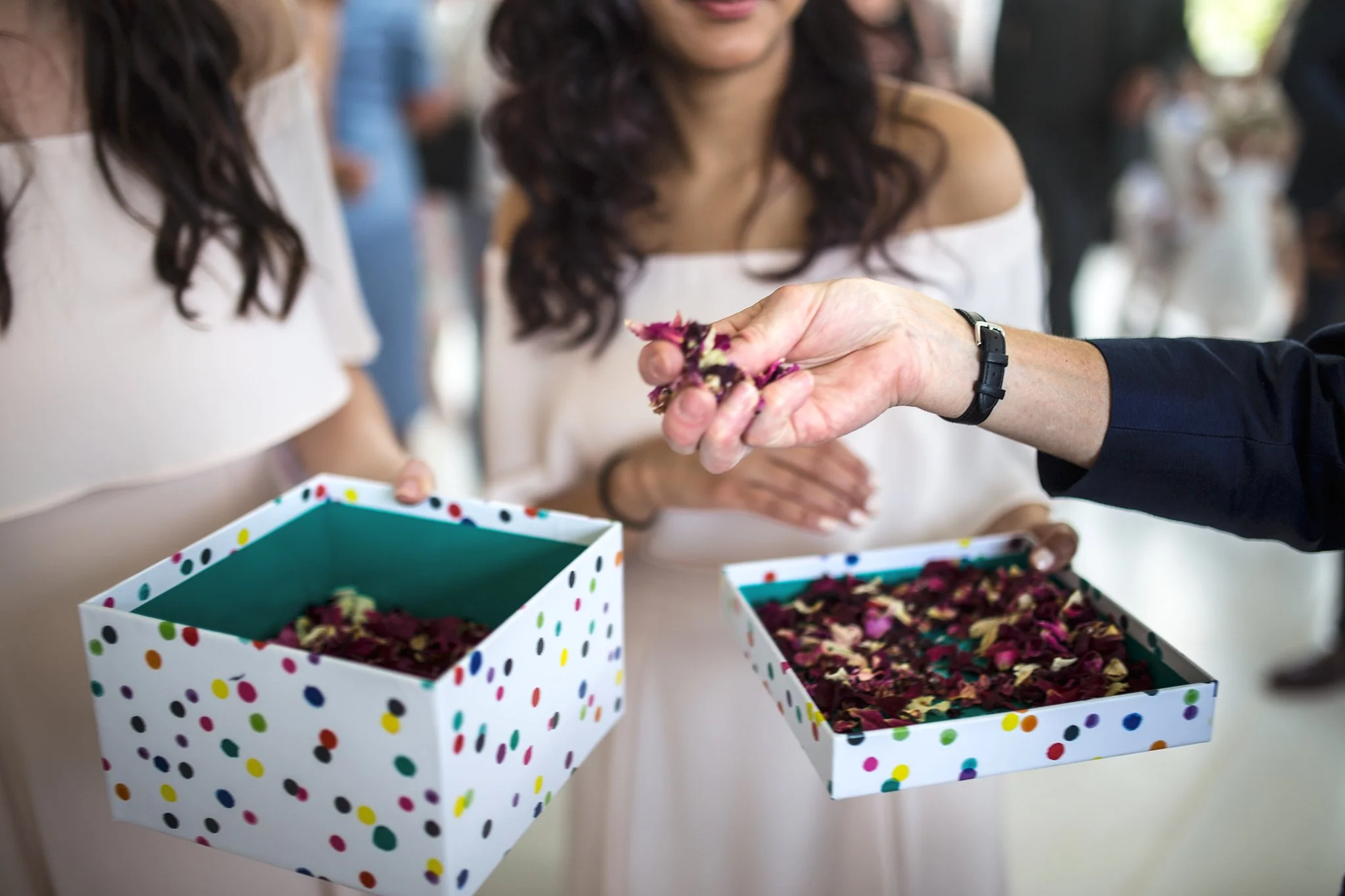 wimborne-house_wedding_photographer 131.jpg