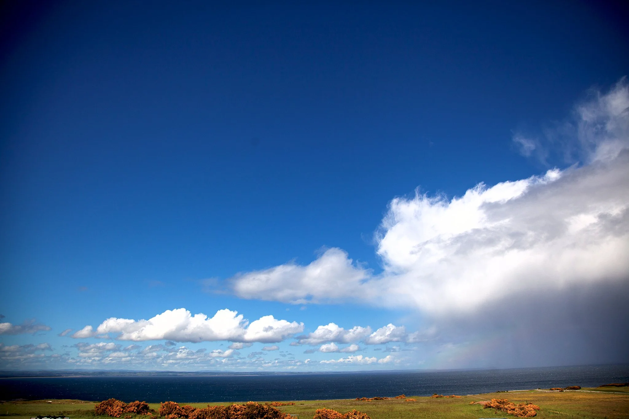 st_andrews_wedding 76.jpg