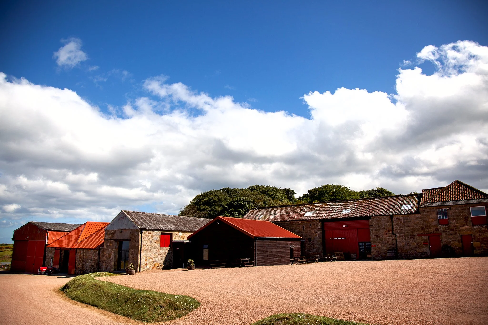 st_andrews_wedding 77.jpg