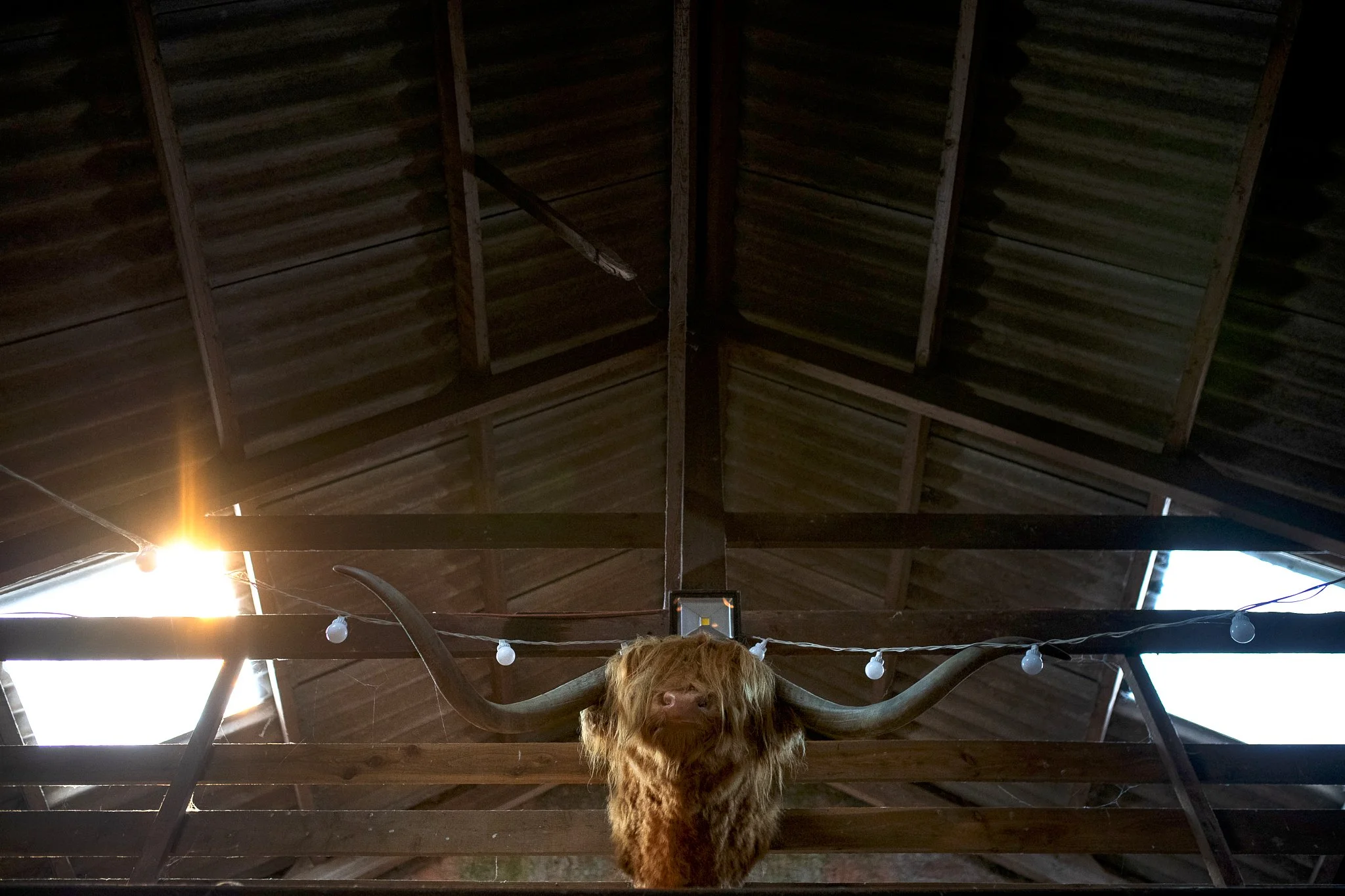 st_andrews_wedding 78.jpg