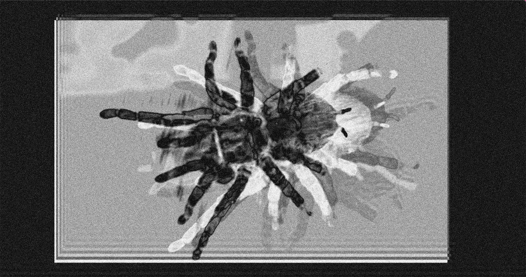 Screenshot 2022-02-01 at 11.05.png