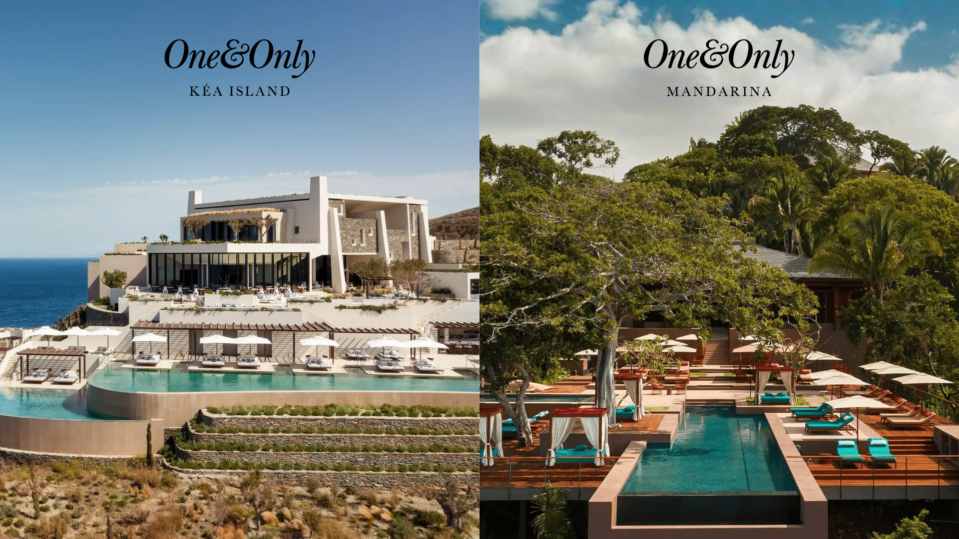 One&Only Cover Image.png