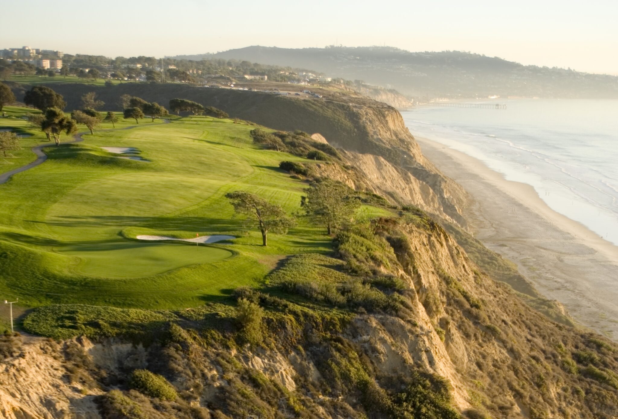 Torrey Pines.jpeg