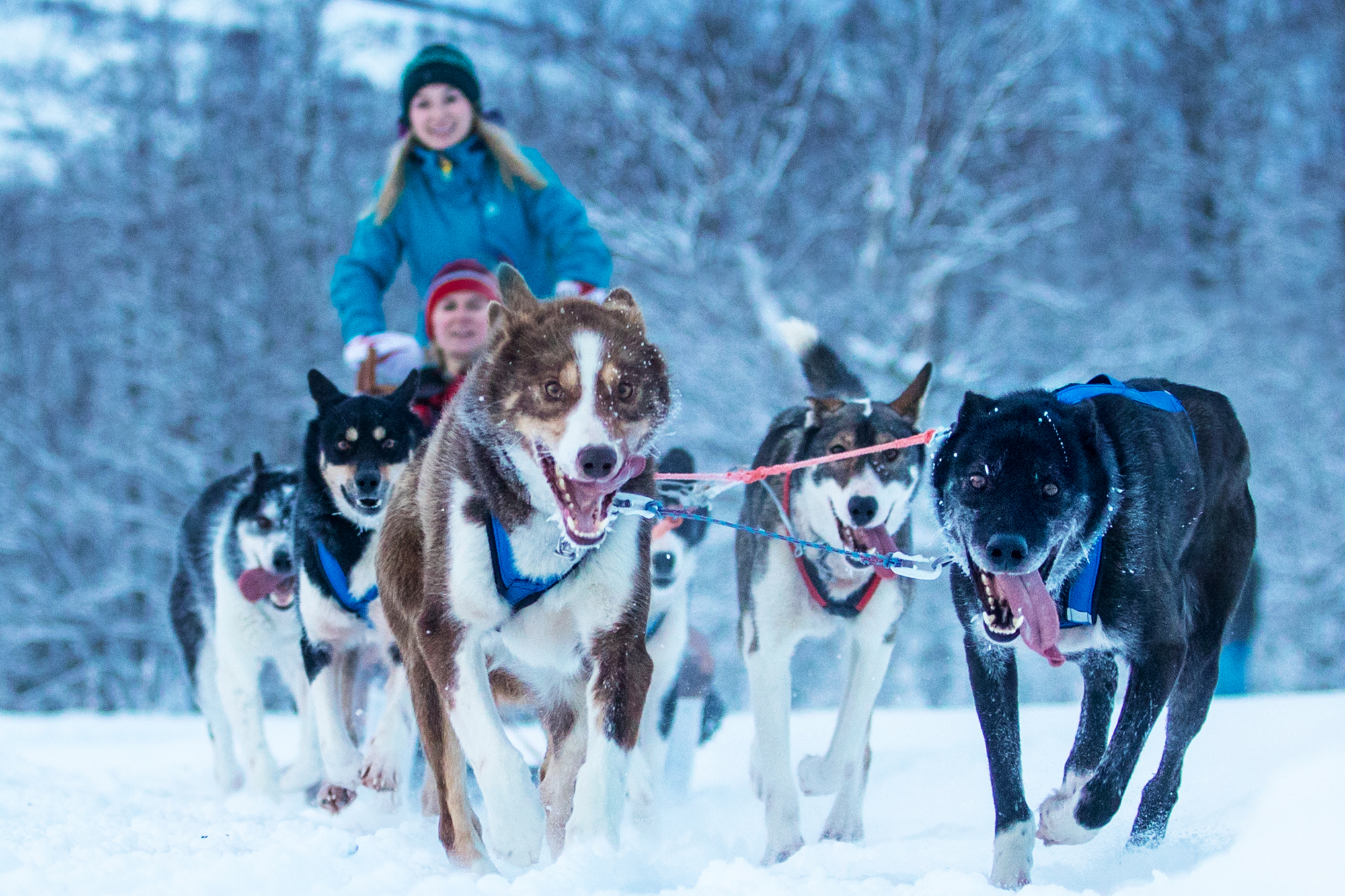 Beyond Tradition: Planning Your Next Scandi Incentive (The Nordic Way)