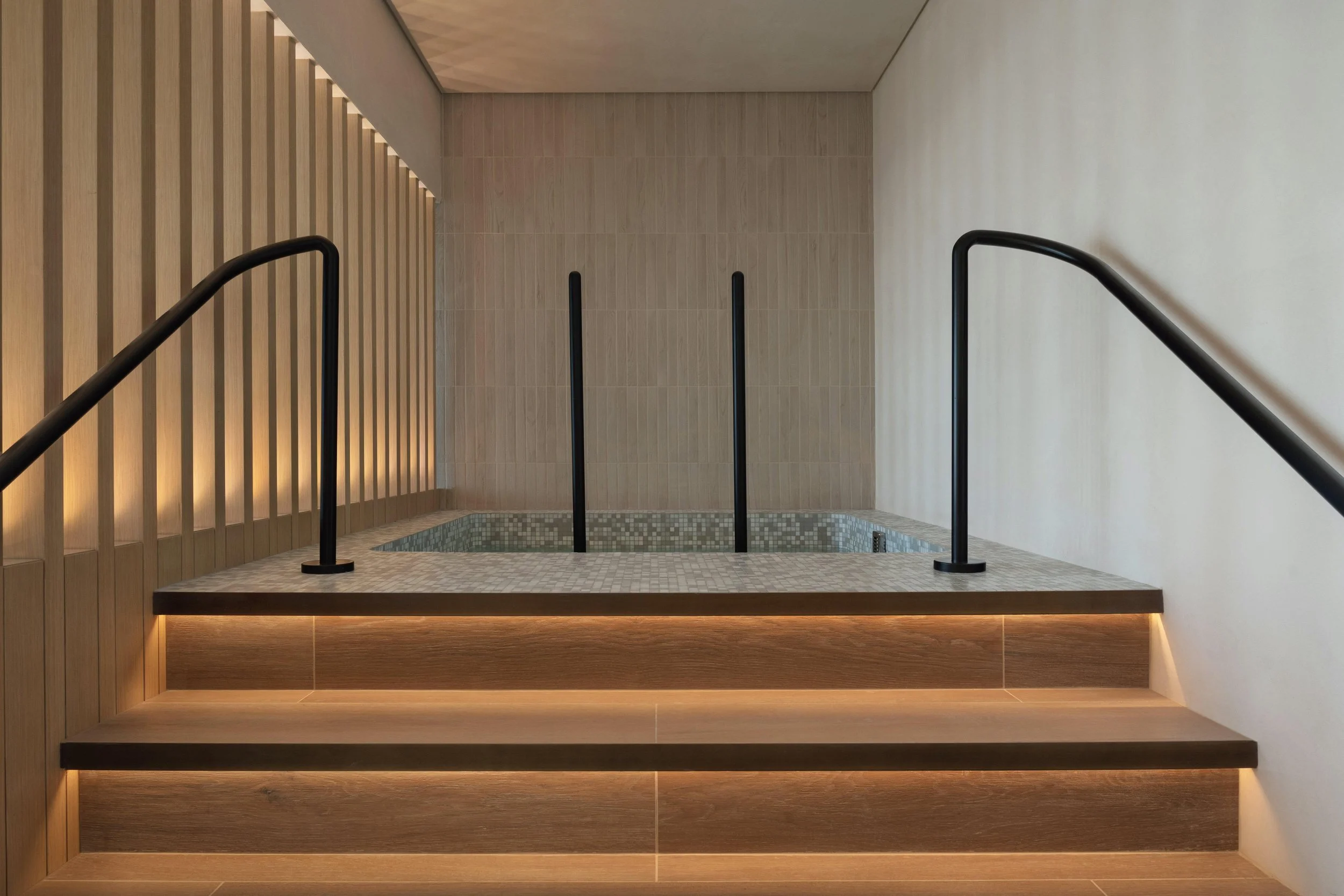 SIRO One Za'abeel Cold Plunge