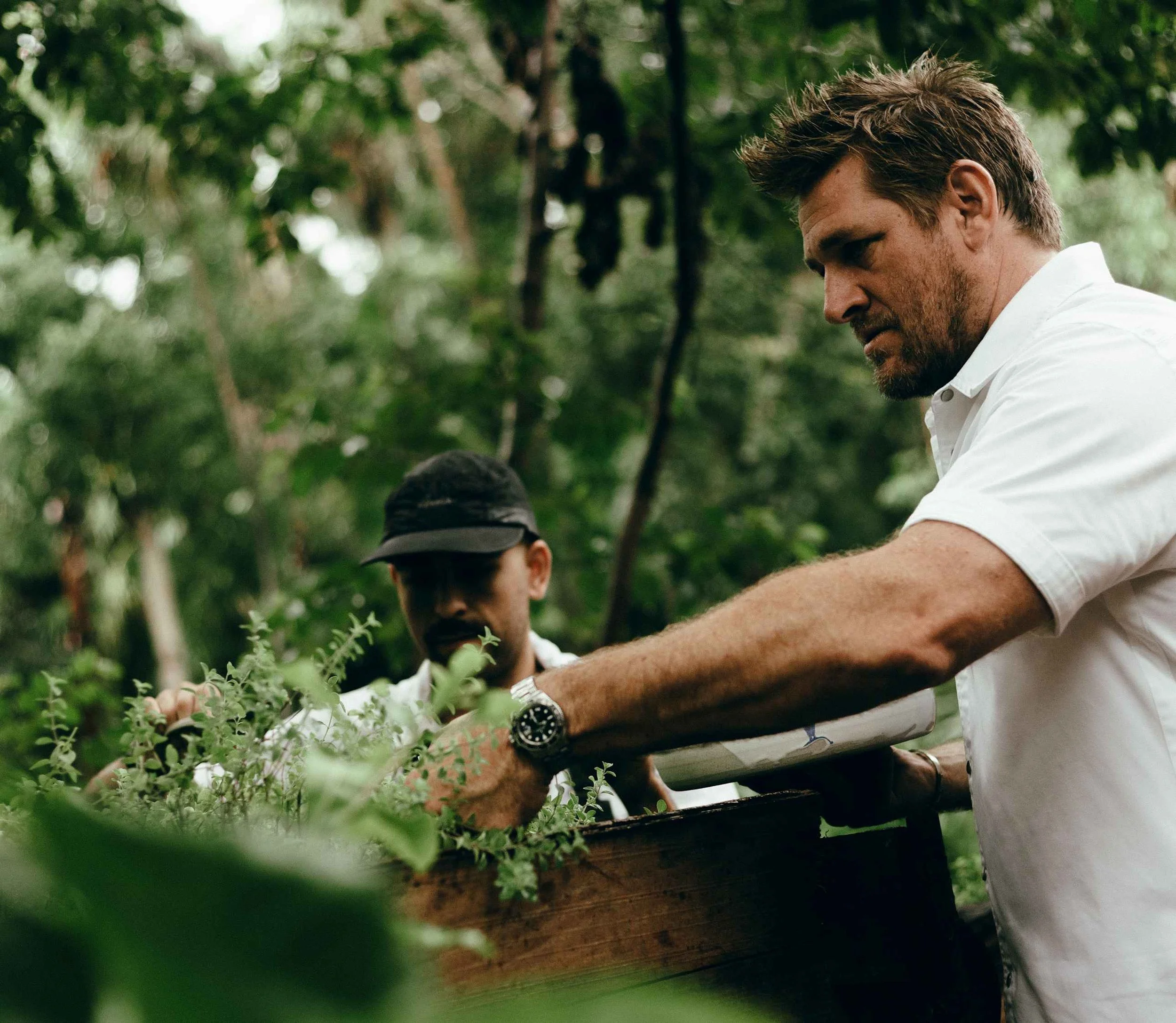 Curtis Stone