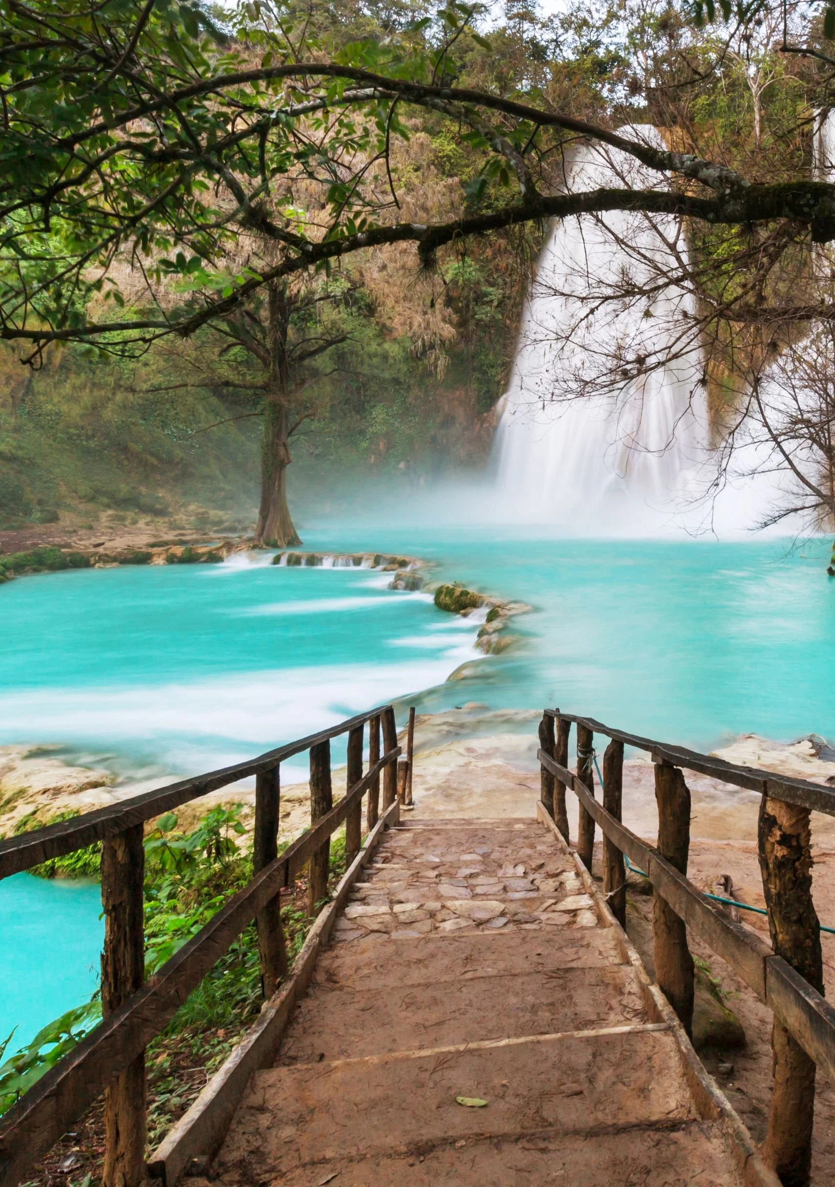 The Names Defining Mexico’s Finest Experiences