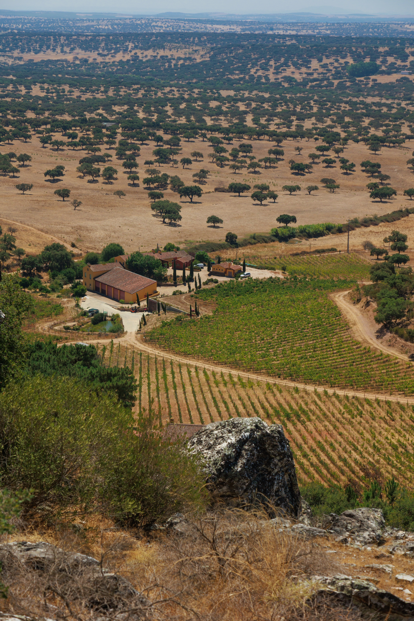 A Taste of Alentejo: The Food, Wine &amp; People Behind the Region