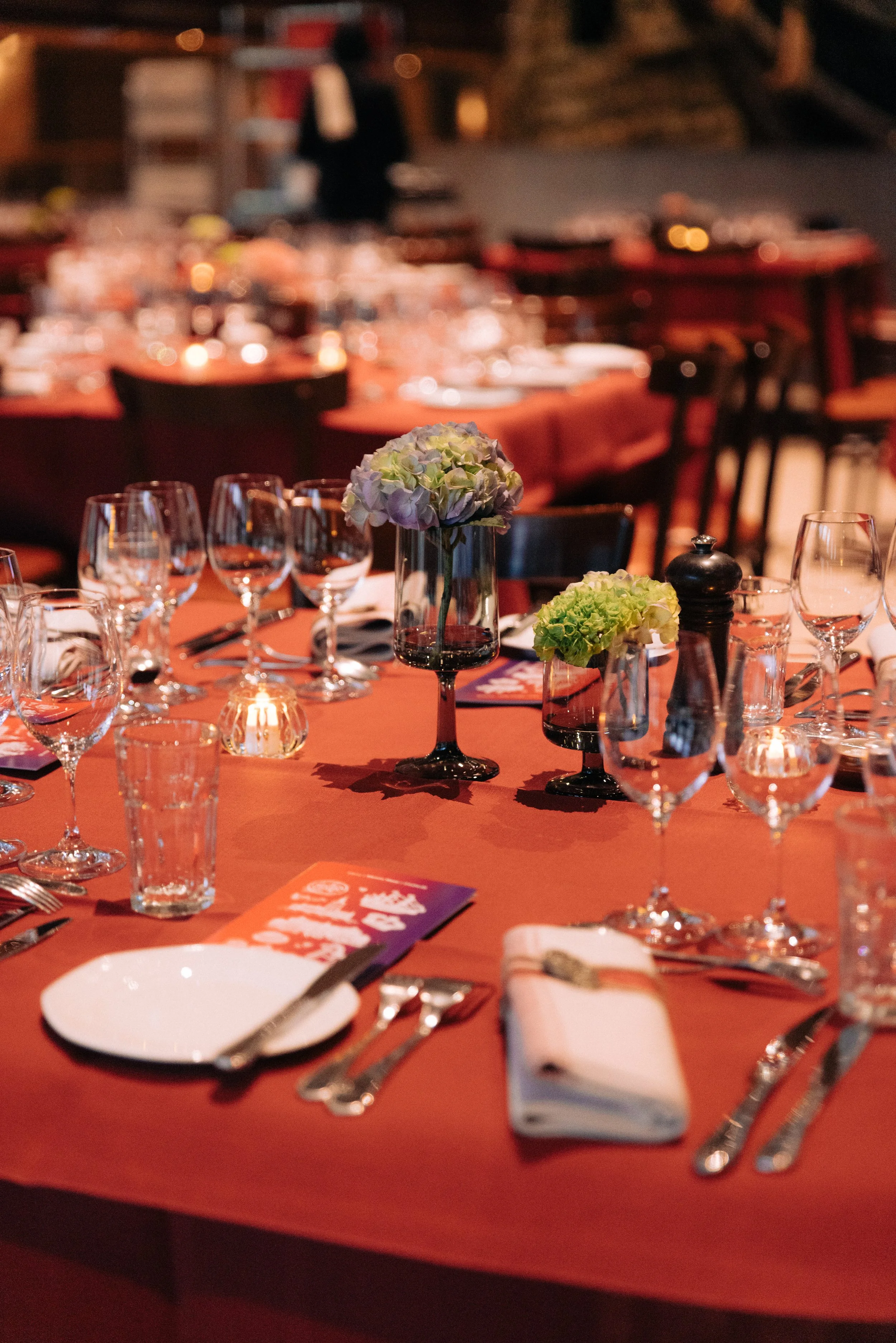 article2_exclusivedinner_credit NordicWays.jpg