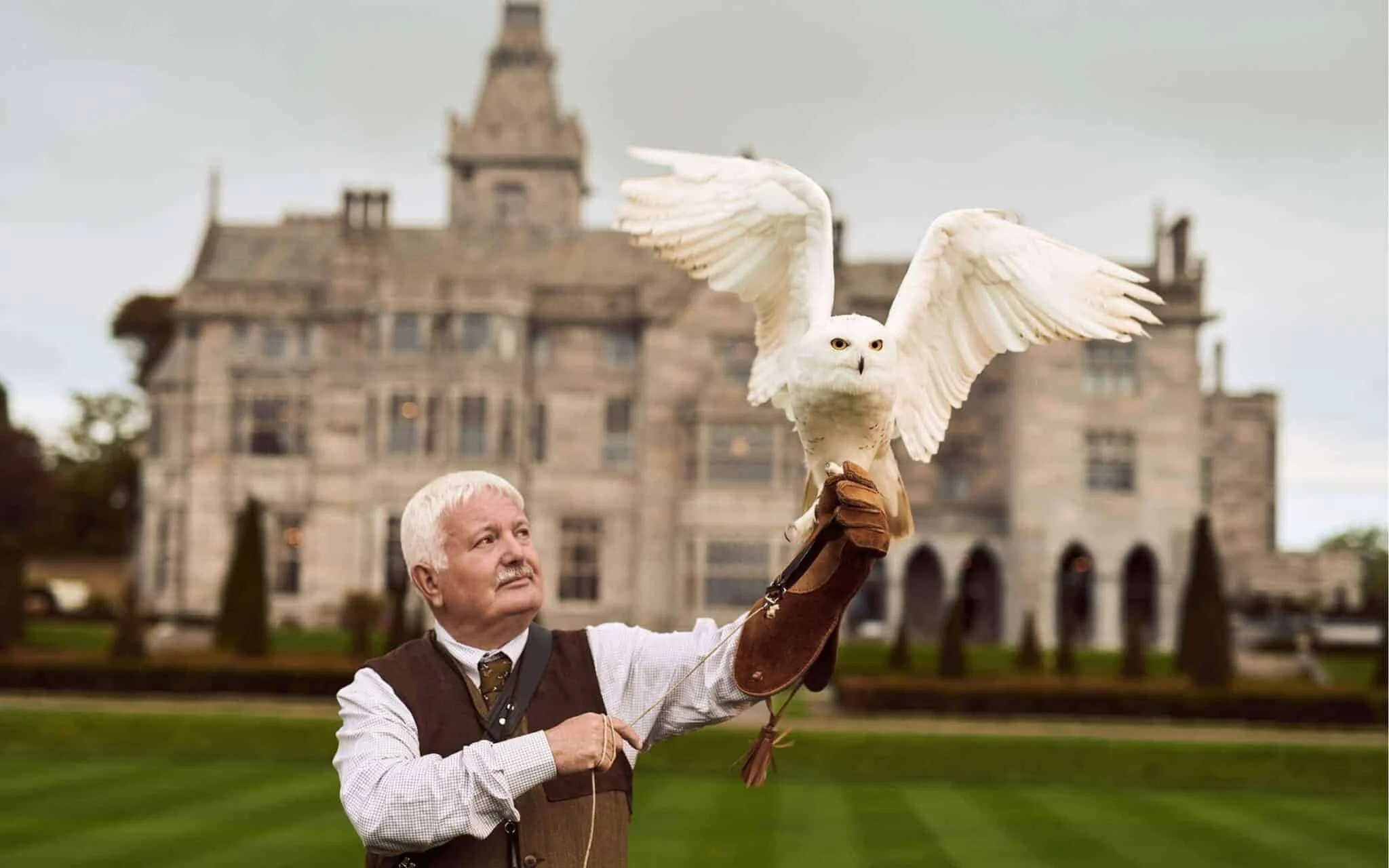 falconry-owl-and-man-1.jpeg