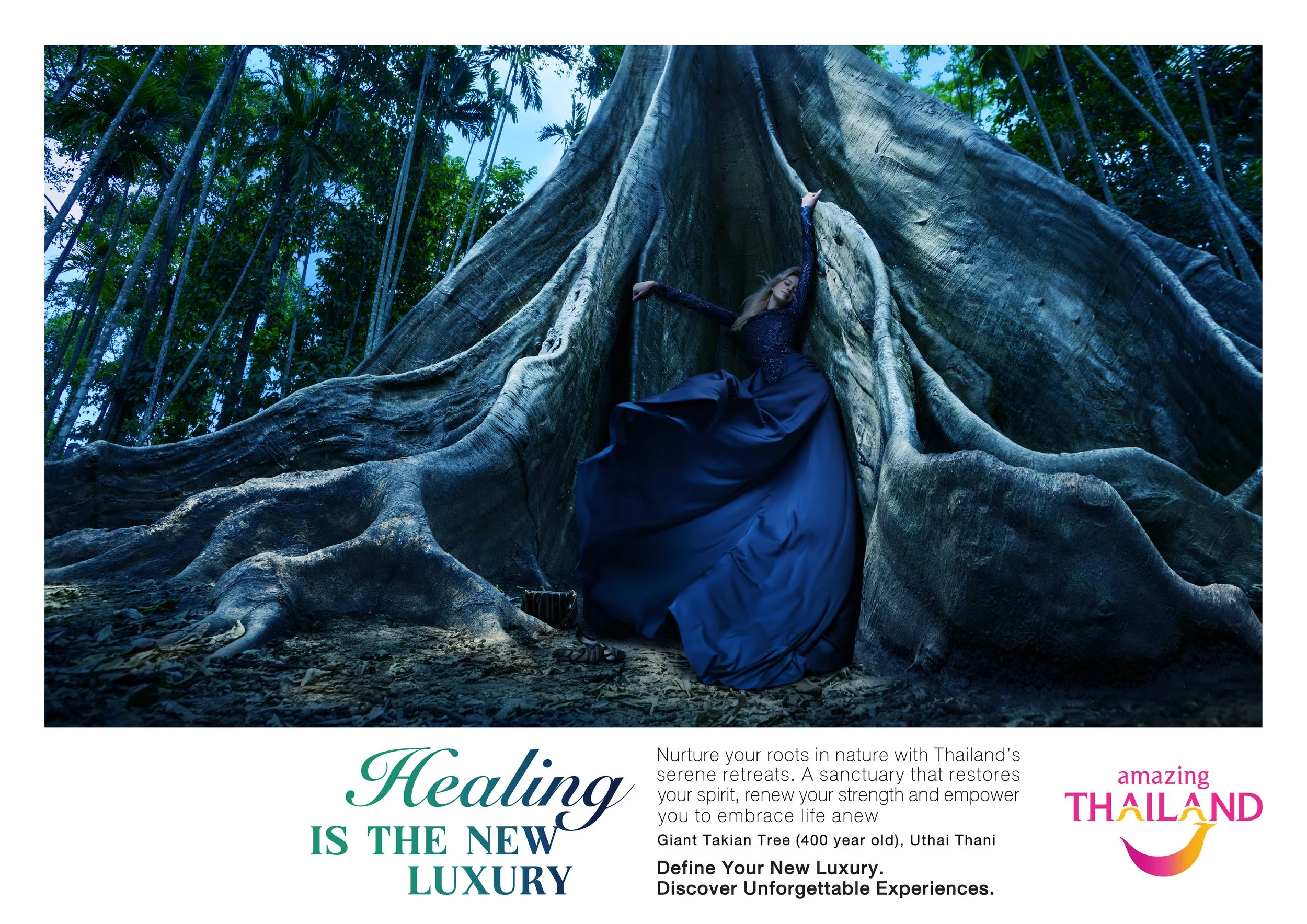 KV2_Uthai Thani Giant Tree_2025.jpg