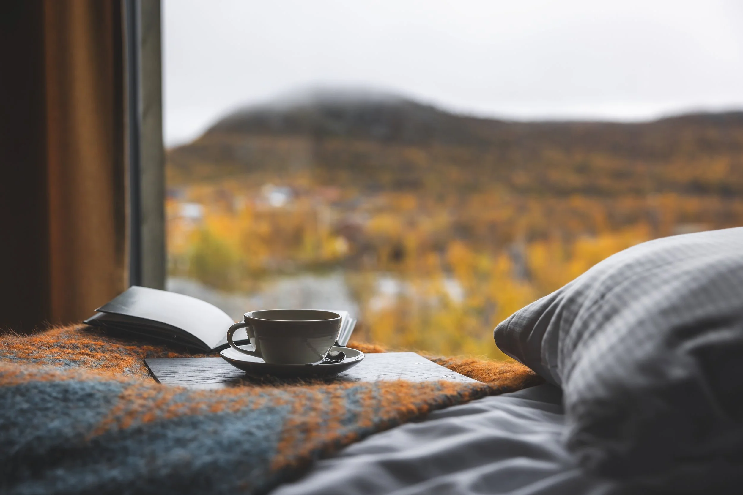 Kopio tiedostosta CAHKAL_room-view-autumn_1_2023-2.jpg