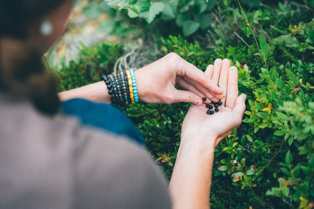 berries in newfoundland