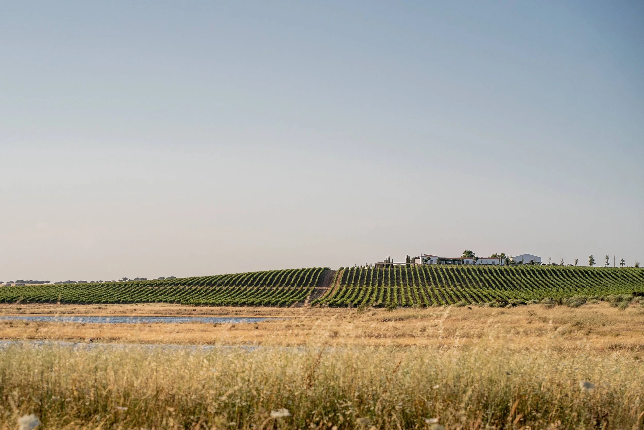 dsc01056-1.jpg