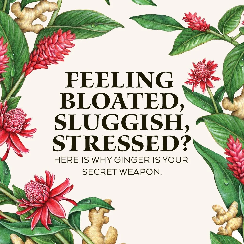 For the ones who like their wellness with a little bite. 🫚
Swipe to see what ginger can do for you.